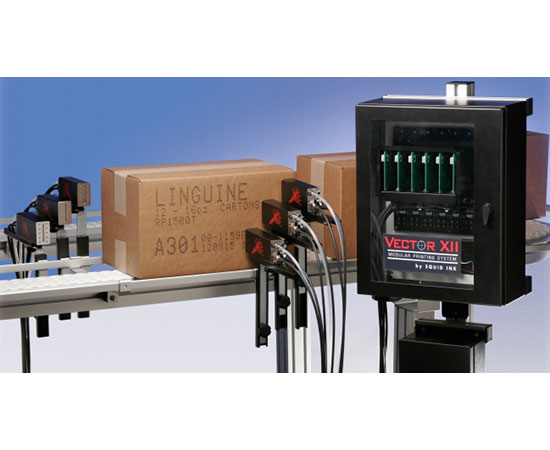 SQ/2 Vector-XII大字机