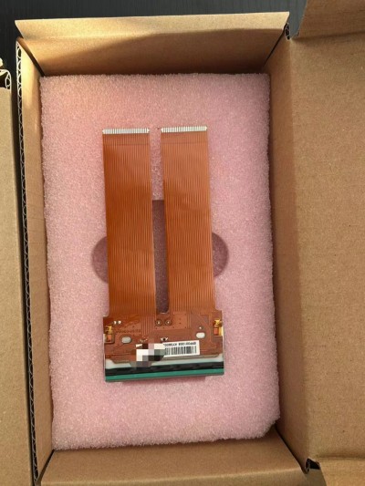 多米诺(易普力)打印头